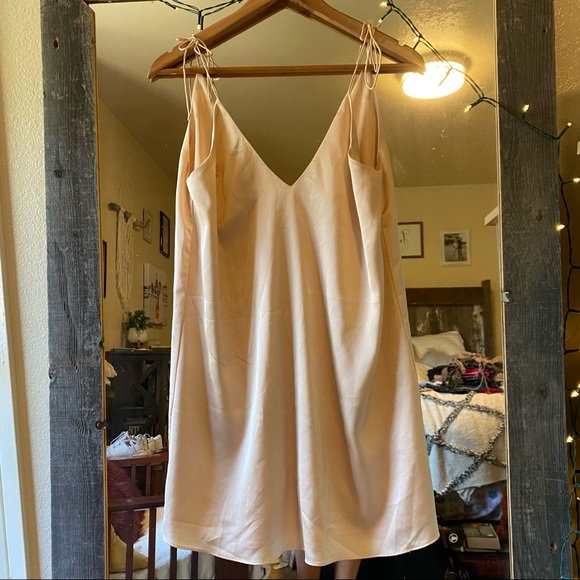 Champagne Dress - Picture 3 of 5